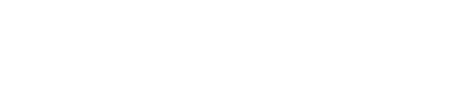 THE FACE SHOP